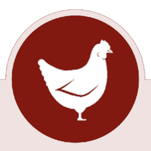Broiler Health & Production Service Plan